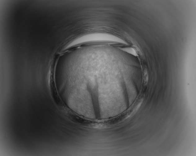 X0000087590356200705181223