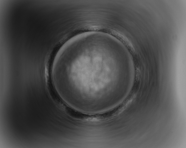 X0000087590358200705181223