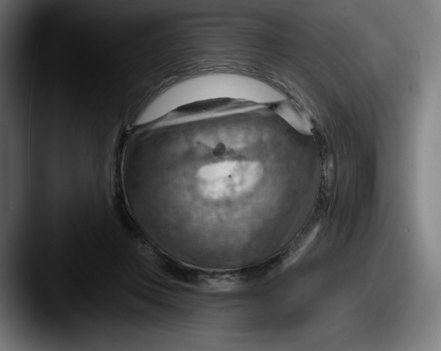 X0000087590359200705181223