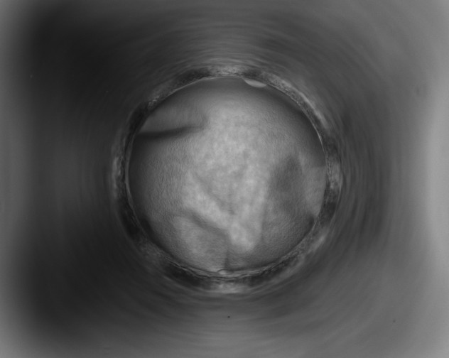 X0000087590360200705181223