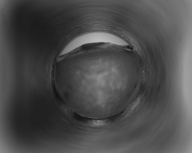 X0000087590361200705181223