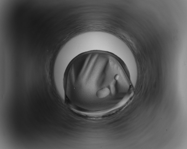 X0000087590362200705181223