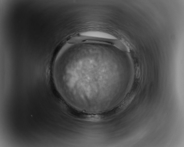 X0000087590363200705181223