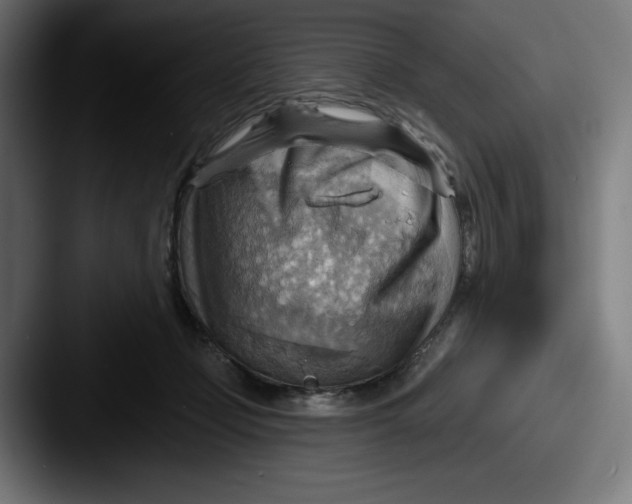 X0000087590365200705181223