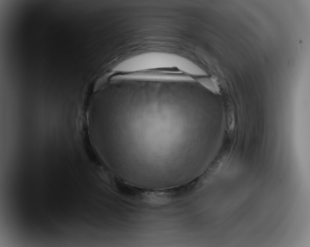 X0000087590367200705181223