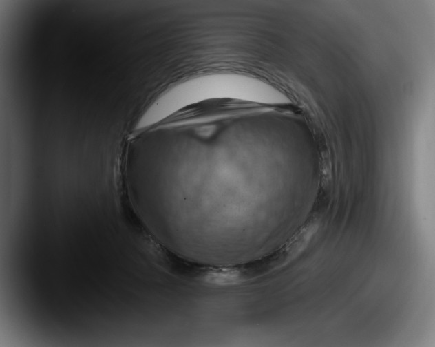 X0000087590369200705181223