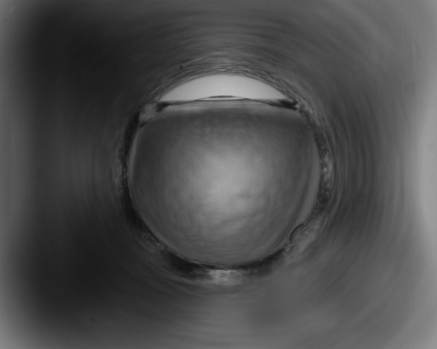 X0000087590371200705181223