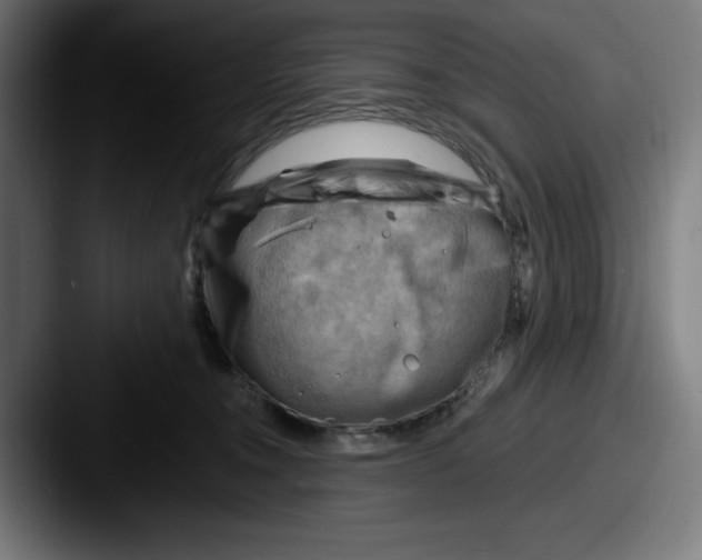 X0000087590372200705181223