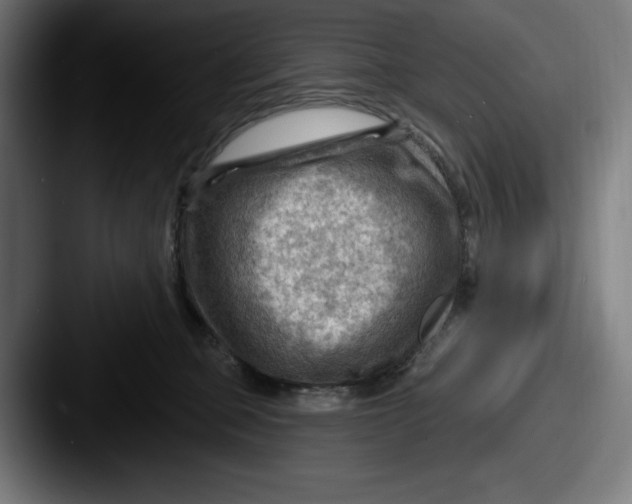 X0000087590373200705181223