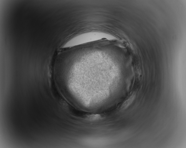 X0000087590374200705181223