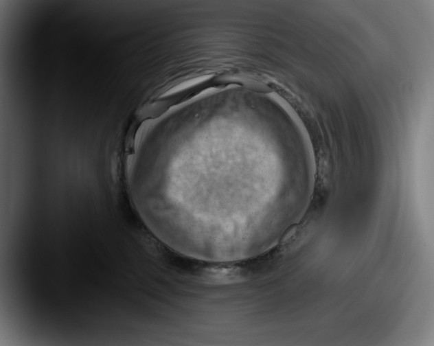 X0000087590375200705181223