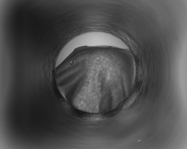 X0000087590377200705181223