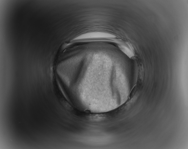 X0000087590378200705181223