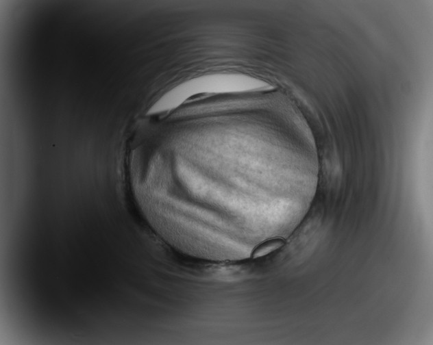 X0000087590379200705181223