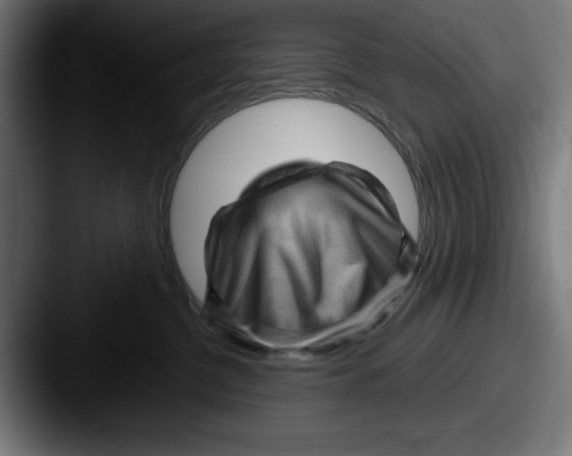 X0000087590380200705181223