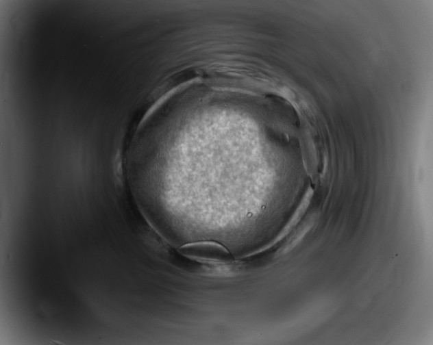 X0000087590381200705181223