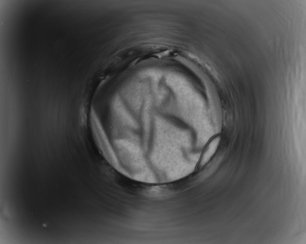 X0000087590382200705181223