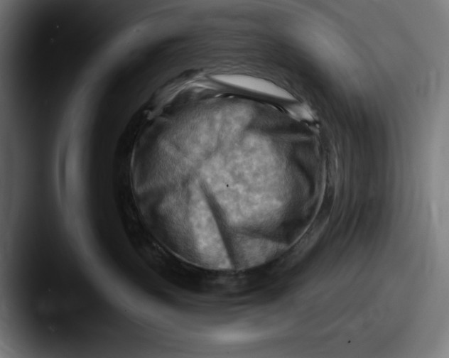 X0000087590383200705181223