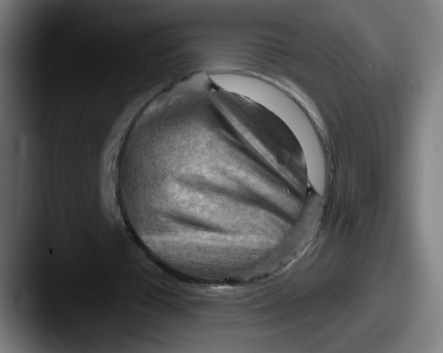 X0000087590385200705181223