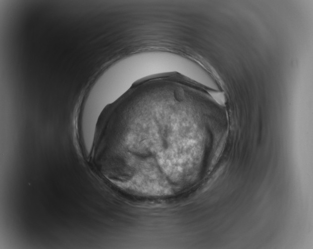 X0000087590386200705181223