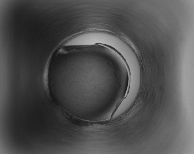 X0000087590387200705181223