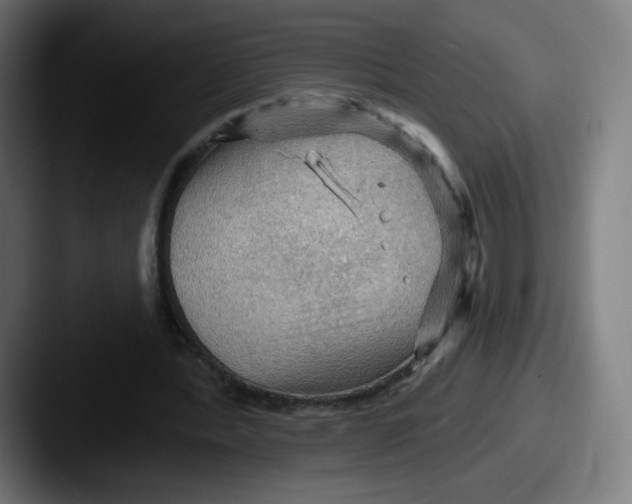 X0000087590388200705181223