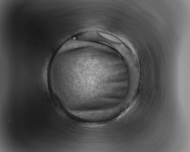 X0000087590389200705181223