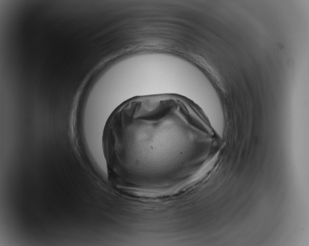 X0000087590392200705181223