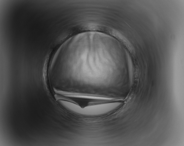 X0000087590394200705181223