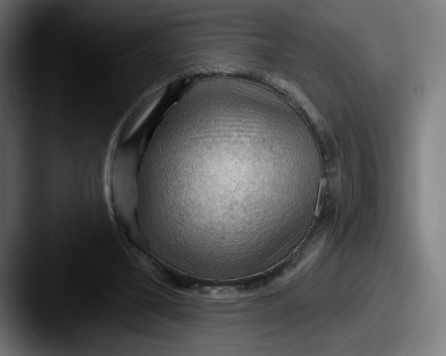 X0000087590395200705181223