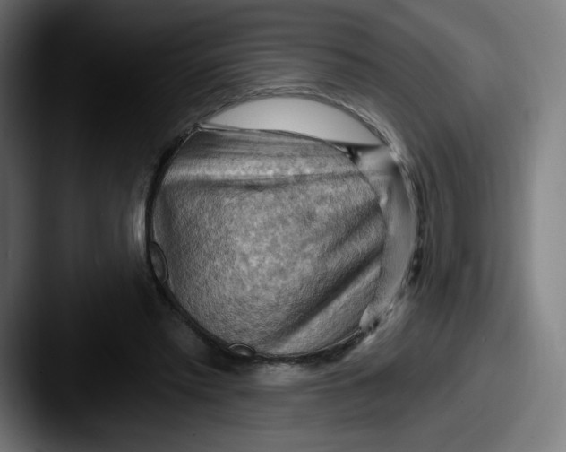 X0000087590397200705181223