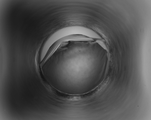 X0000087590398200705181223