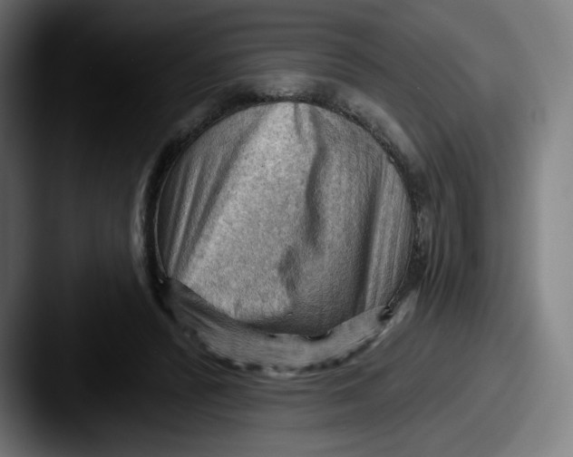 X0000087590400200705181223