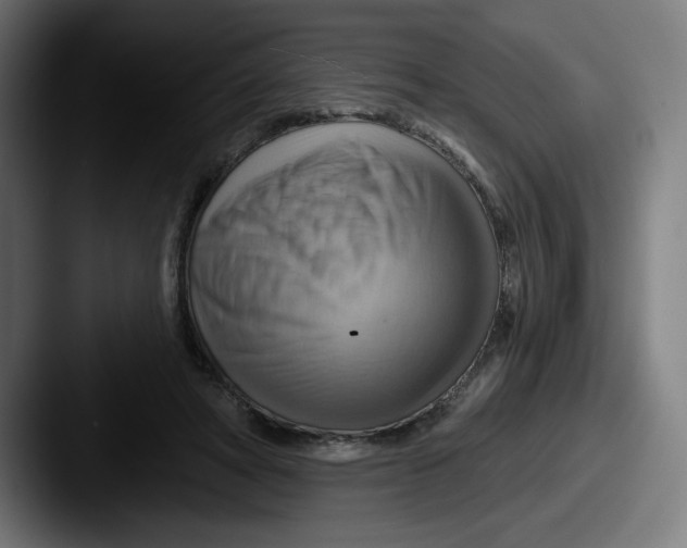 X0000087590402200705181223