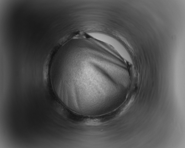 X0000087590403200705181223