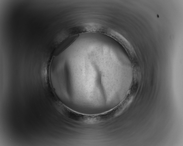 X0000087590405200705181223