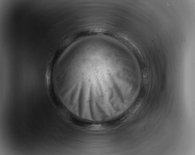 X0000087590406200705181223