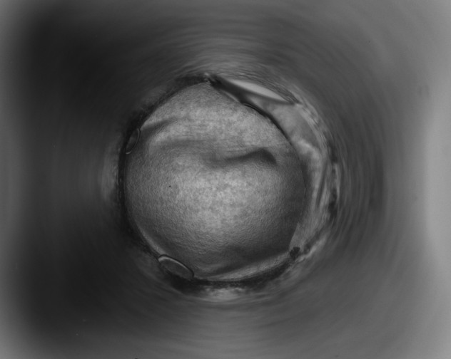 X0000087590407200705181223