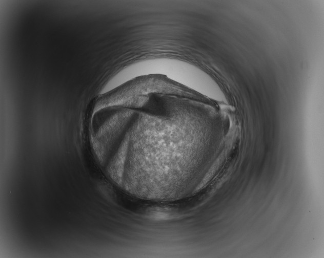 X0000087590408200705181223