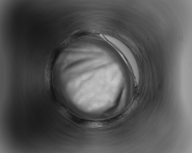 X0000087590409200705181223