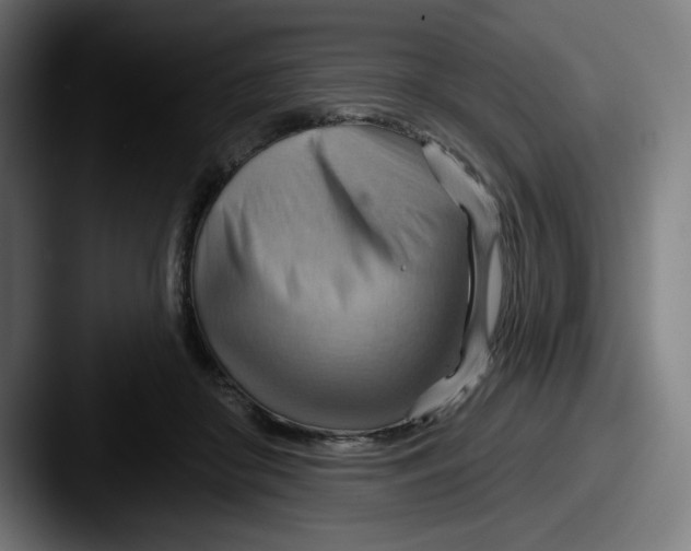 X0000087590410200705181223