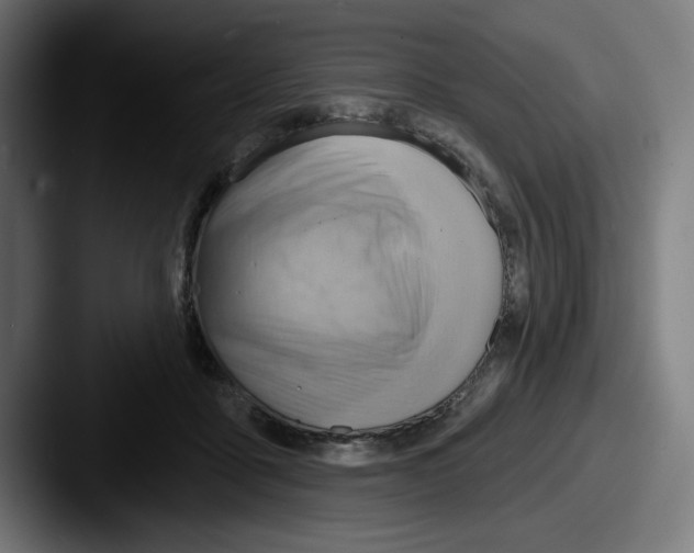 X0000087590411200705181223