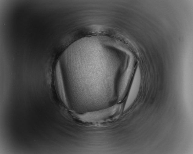 X0000087590413200705181222