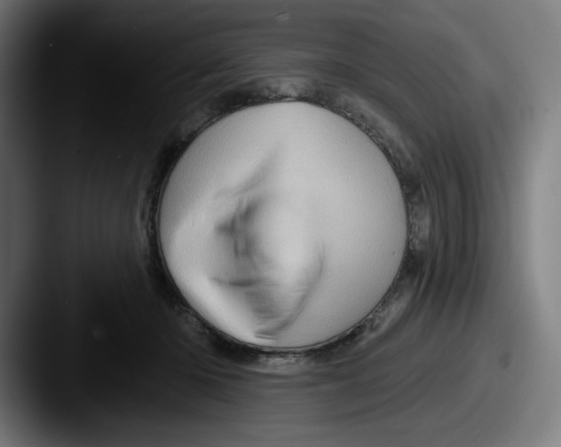 X0000087590414200705181222