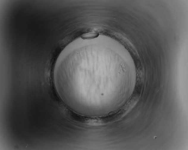 X0000087590415200705181222