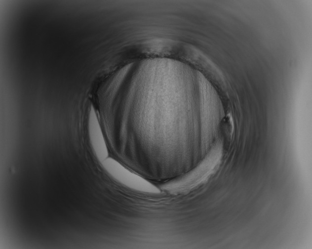 X0000087590416200705181222