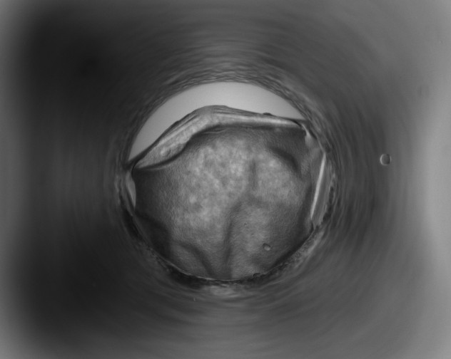 X0000087590417200705181222