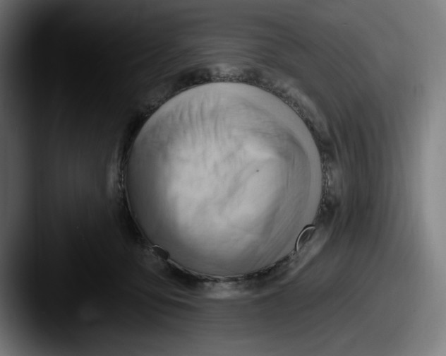 X0000087590419200705181222