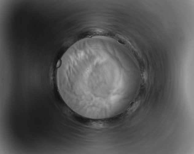 X0000087590423200705181222