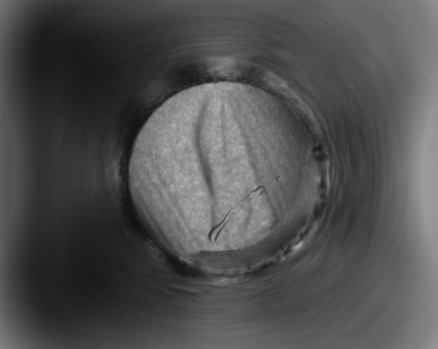 X0000087590424200705181222